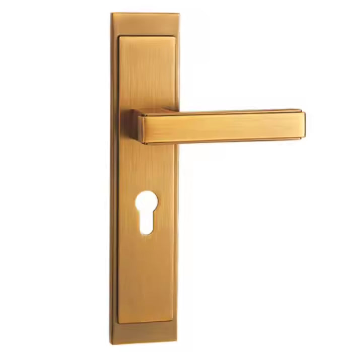 Door locks and hinges