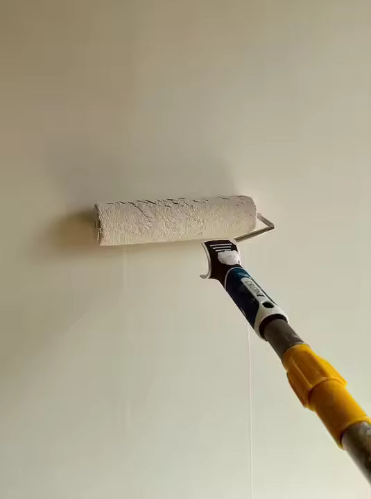 Interior and exterior paint